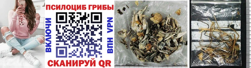 магазин продажи Каневская Псилоцибиновые грибы MAGIC MUSHROOMS